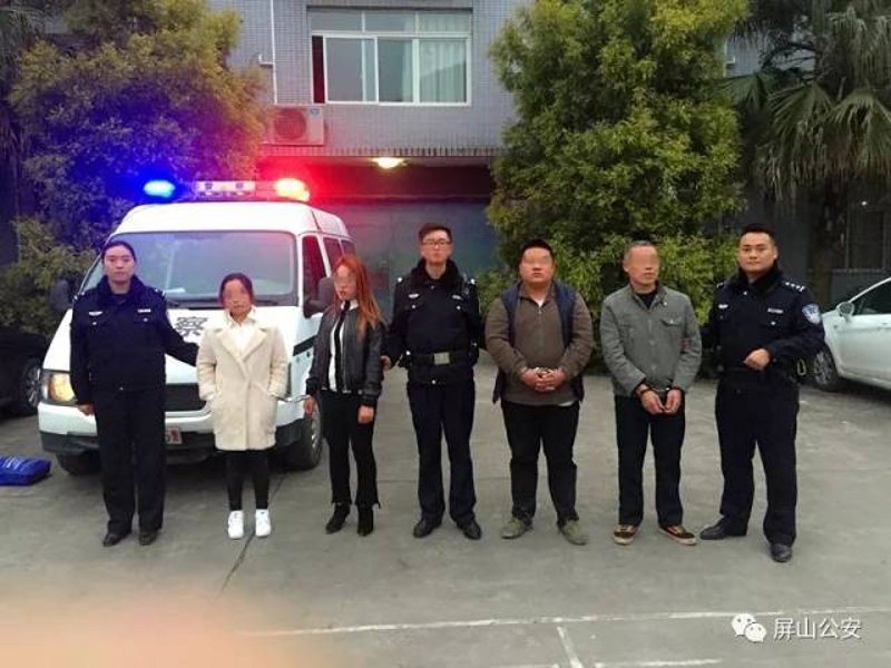 屏山县人民政府官方网站:最新政策与服务指南